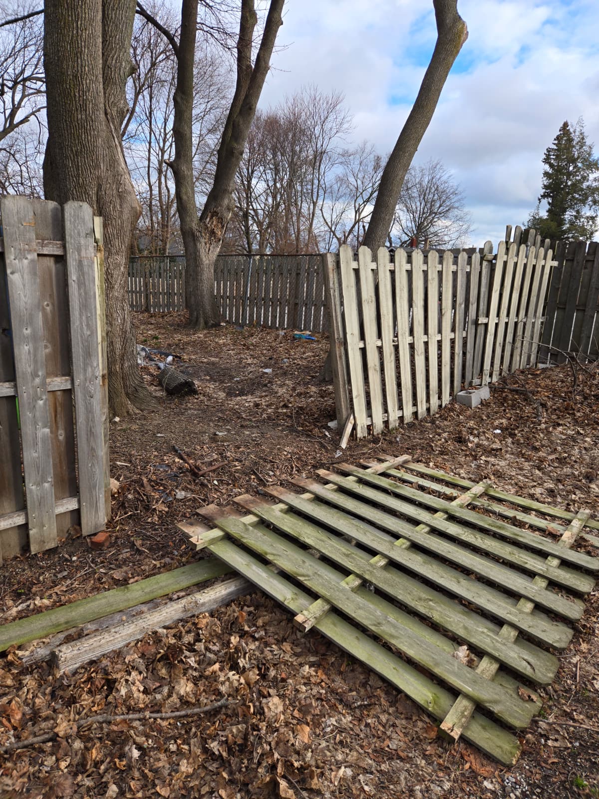 Fence repair, before