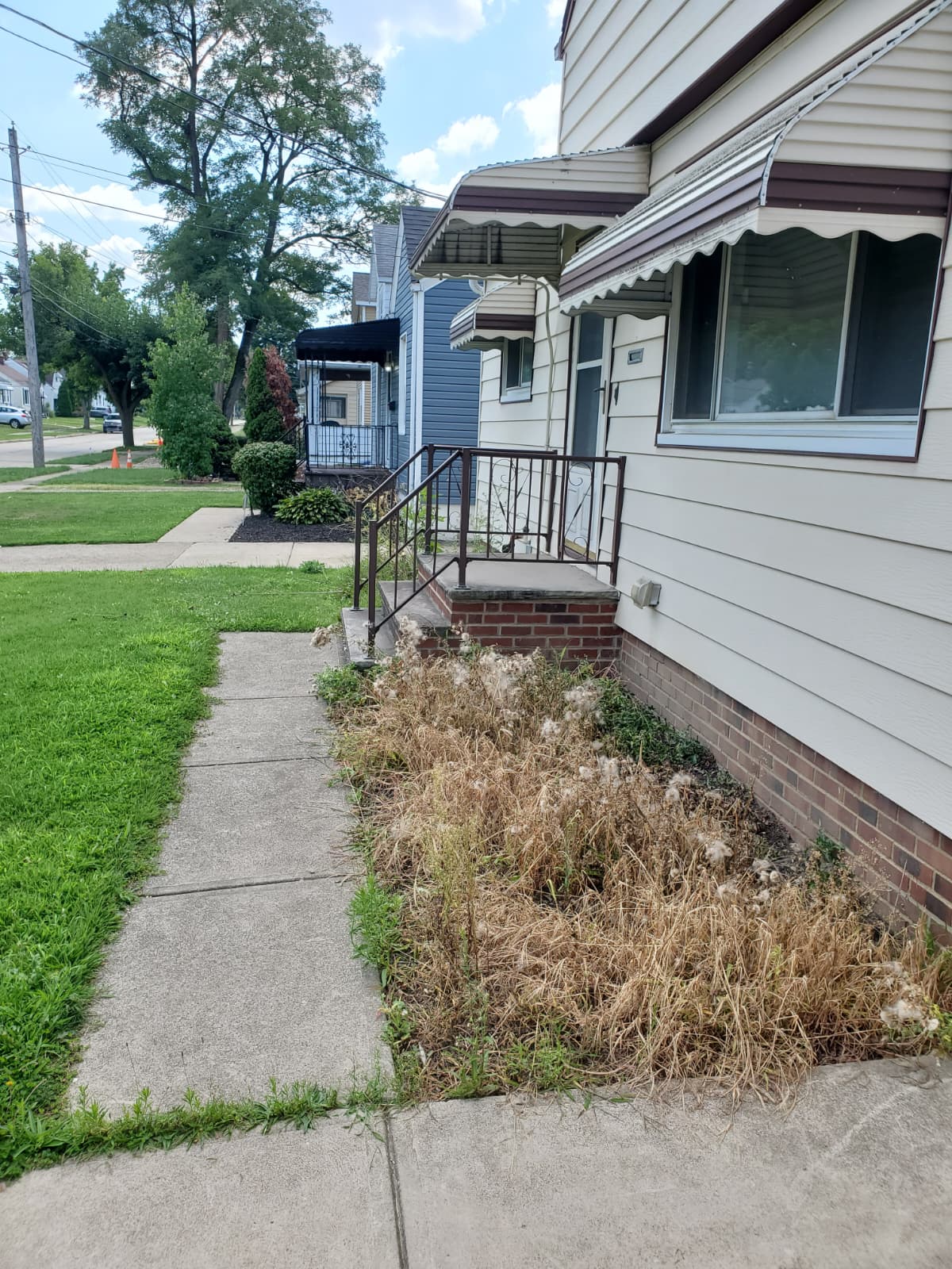 Mulch project, before